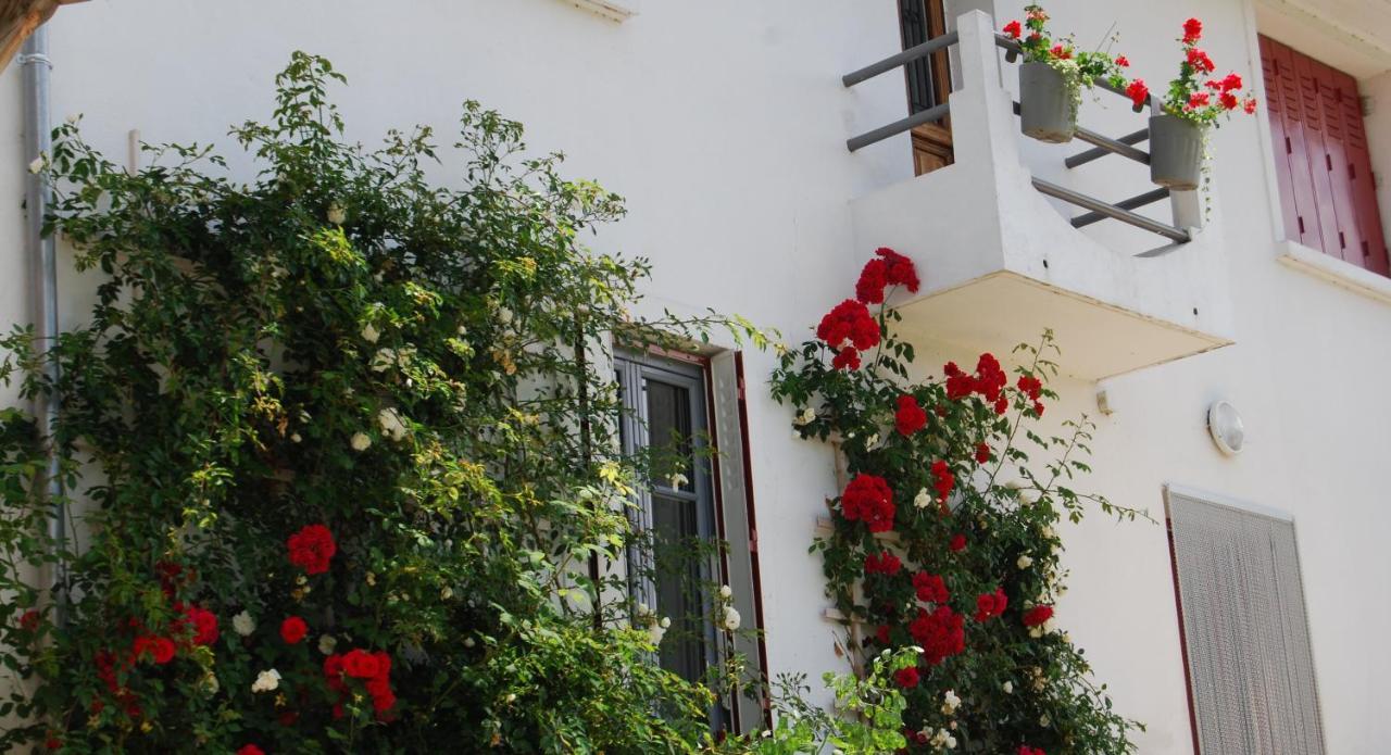 Auberge St P Vegetarien Bnb Saint-Pastous Zewnętrze zdjęcie